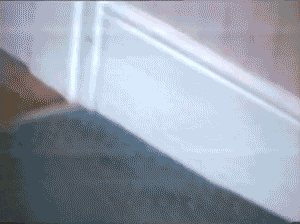 Little Scott running around