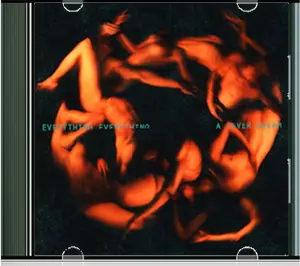 A Fever Dream - Everything Everything 