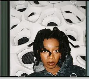 No Thank You - Little Simz 