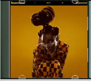 Sometimes I Might Be Introvert - Little Simz 