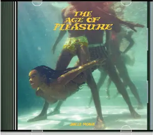 The Age of Pleasure - Janelle Monae 